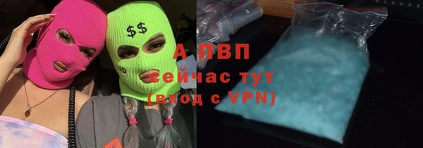 винт Алексин