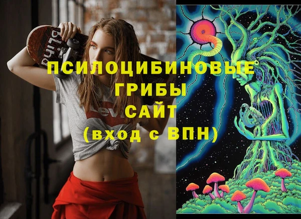 винт Алексин