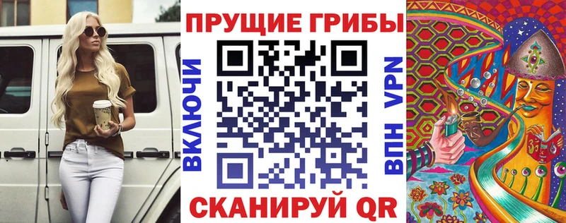 МЕГА как войти  цена наркотик  Берёзовка  Псилоцибиновые грибы MAGIC MUSHROOMS 